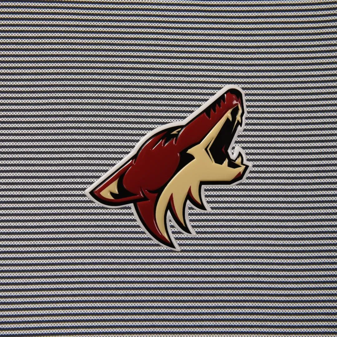 Arizona Coyotes Orion Icon Mantra