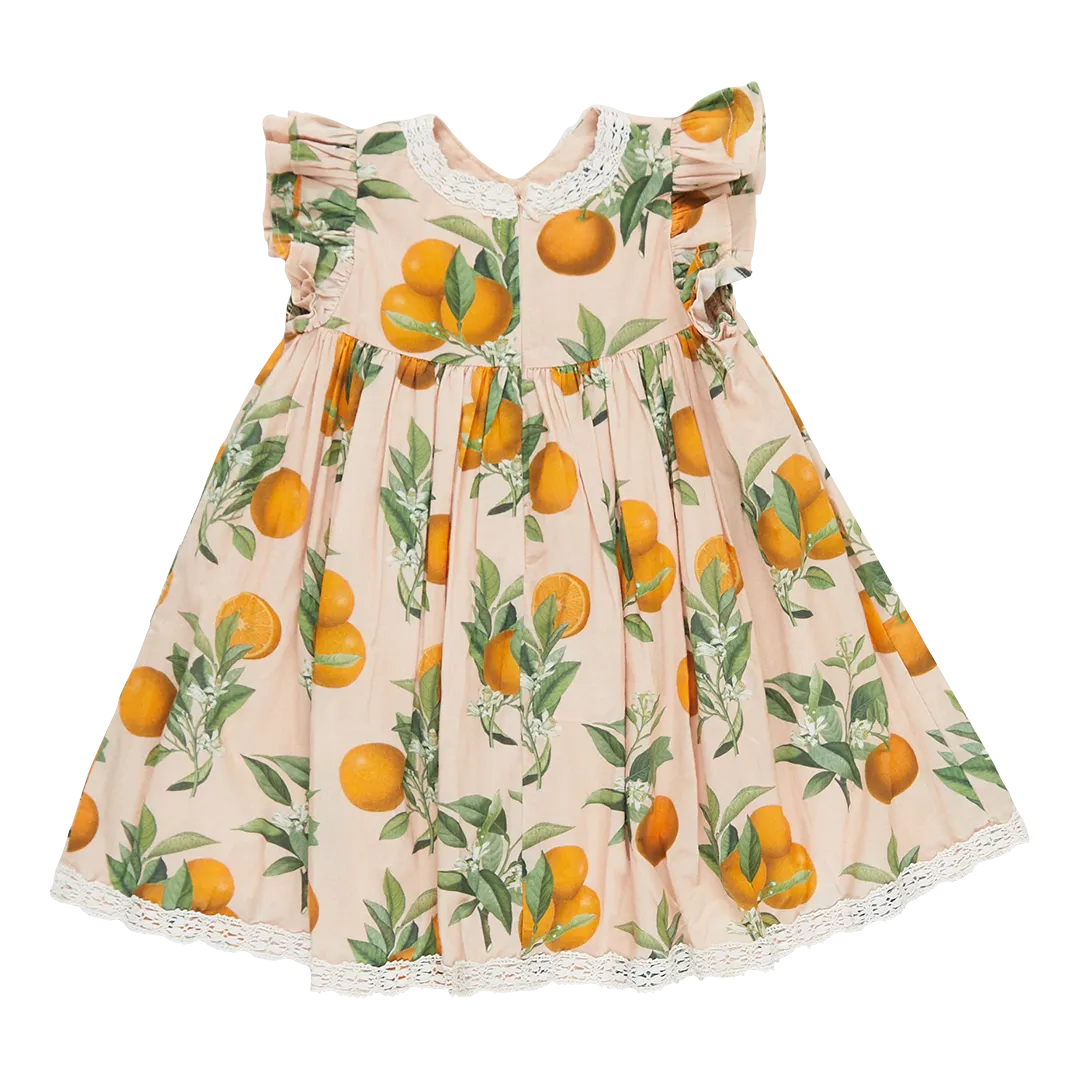 Pink Chicken Girls Katherine Dress - Pink Botanical Oranges